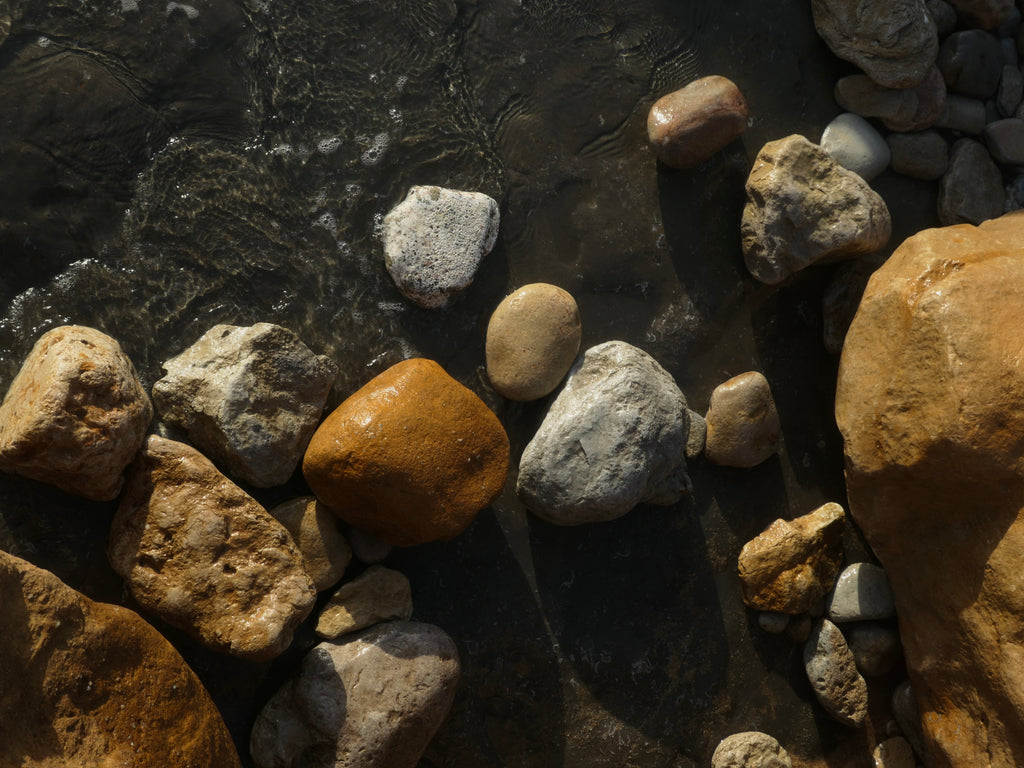 Luz do Sul Muschelohrringe