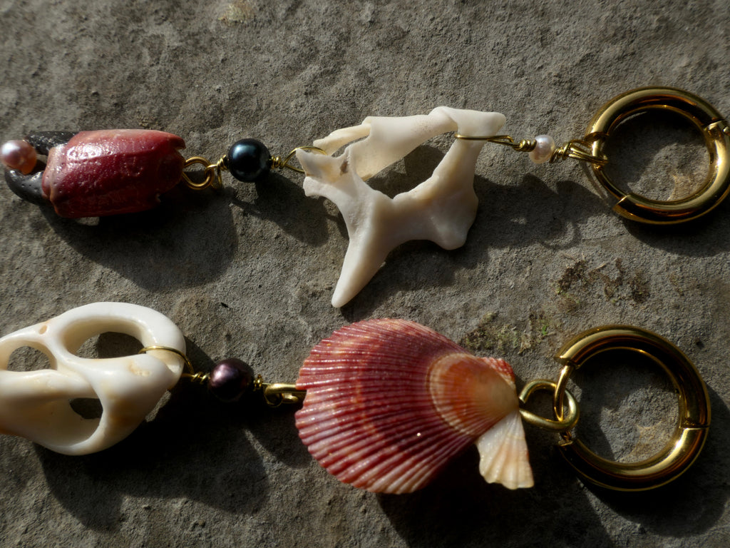 Braço de caranguejo Muschelohrring