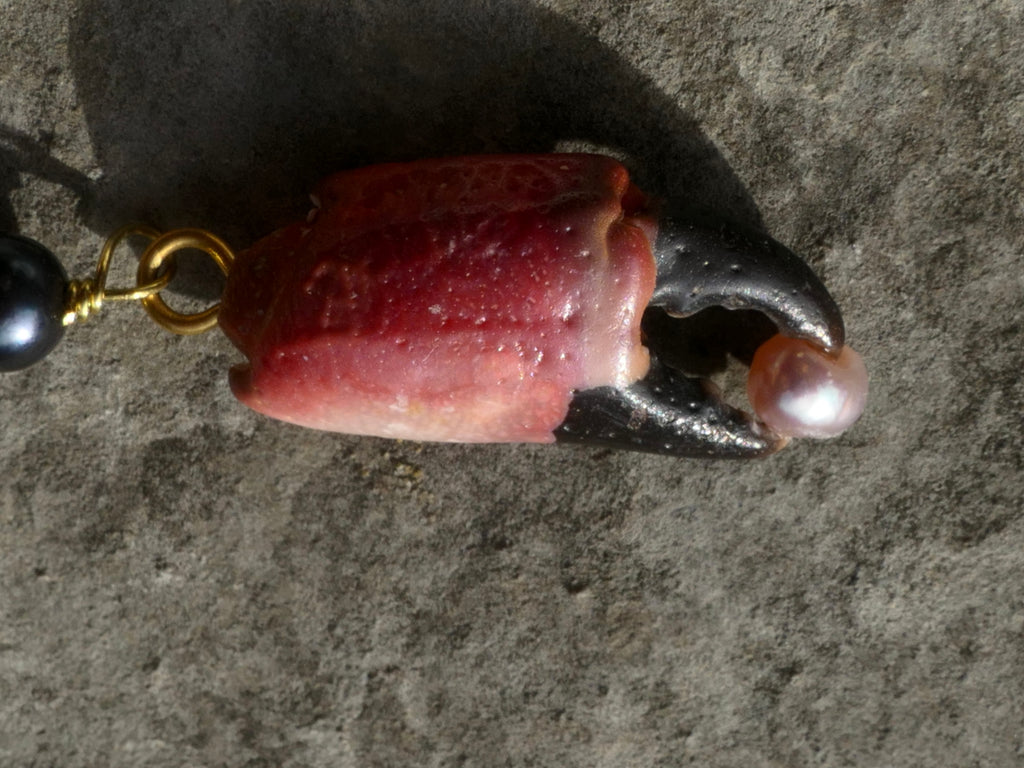 Braço de caranguejo Muschelohrring