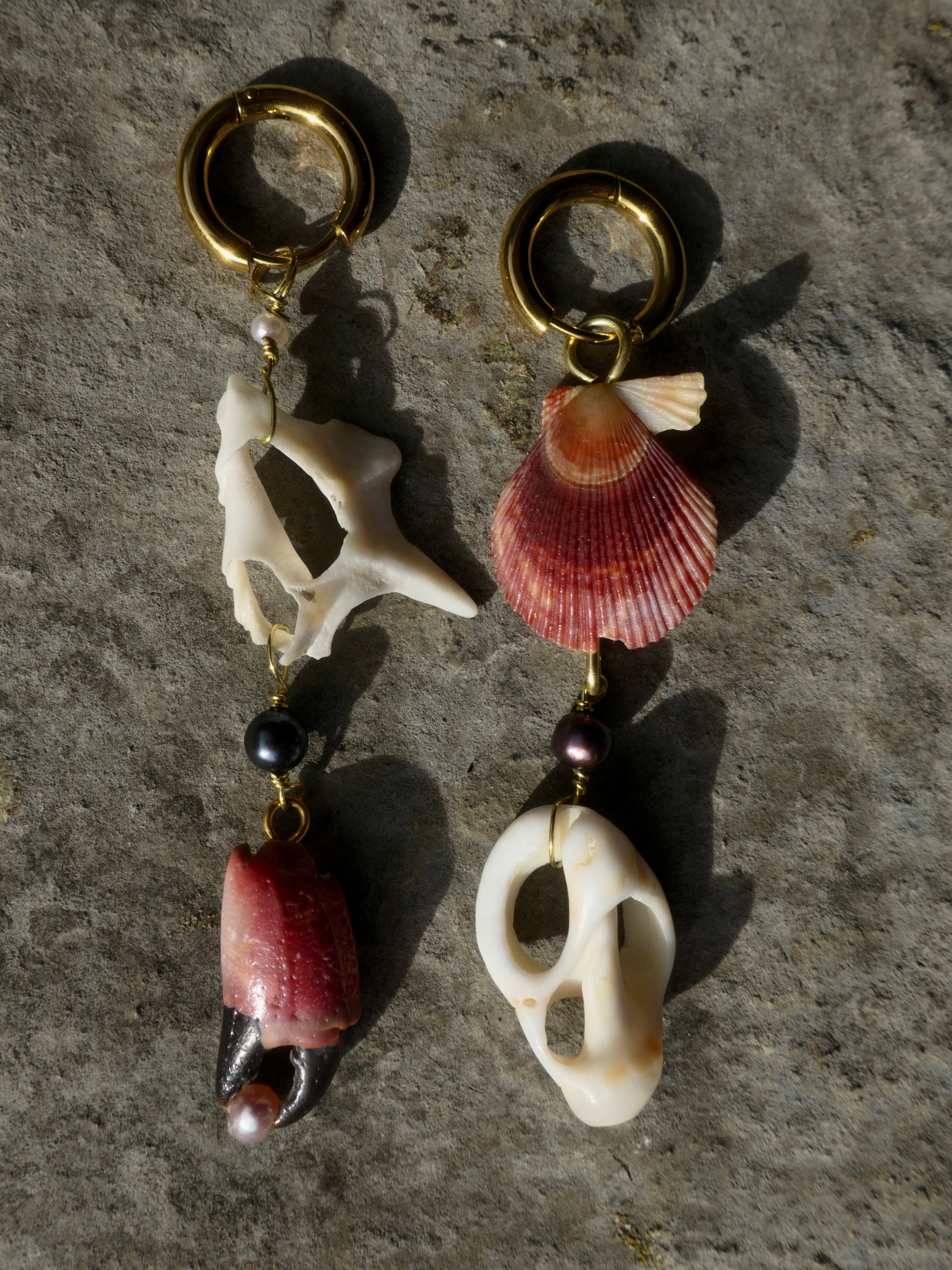 Braço de caranguejo Muschelohrring