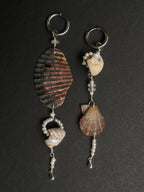 Daggperlur Muschelohrringe