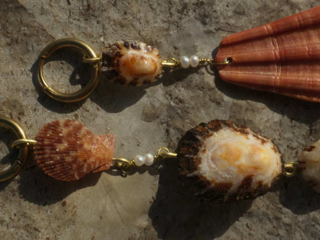 Luz do Sul Muschelohrringe