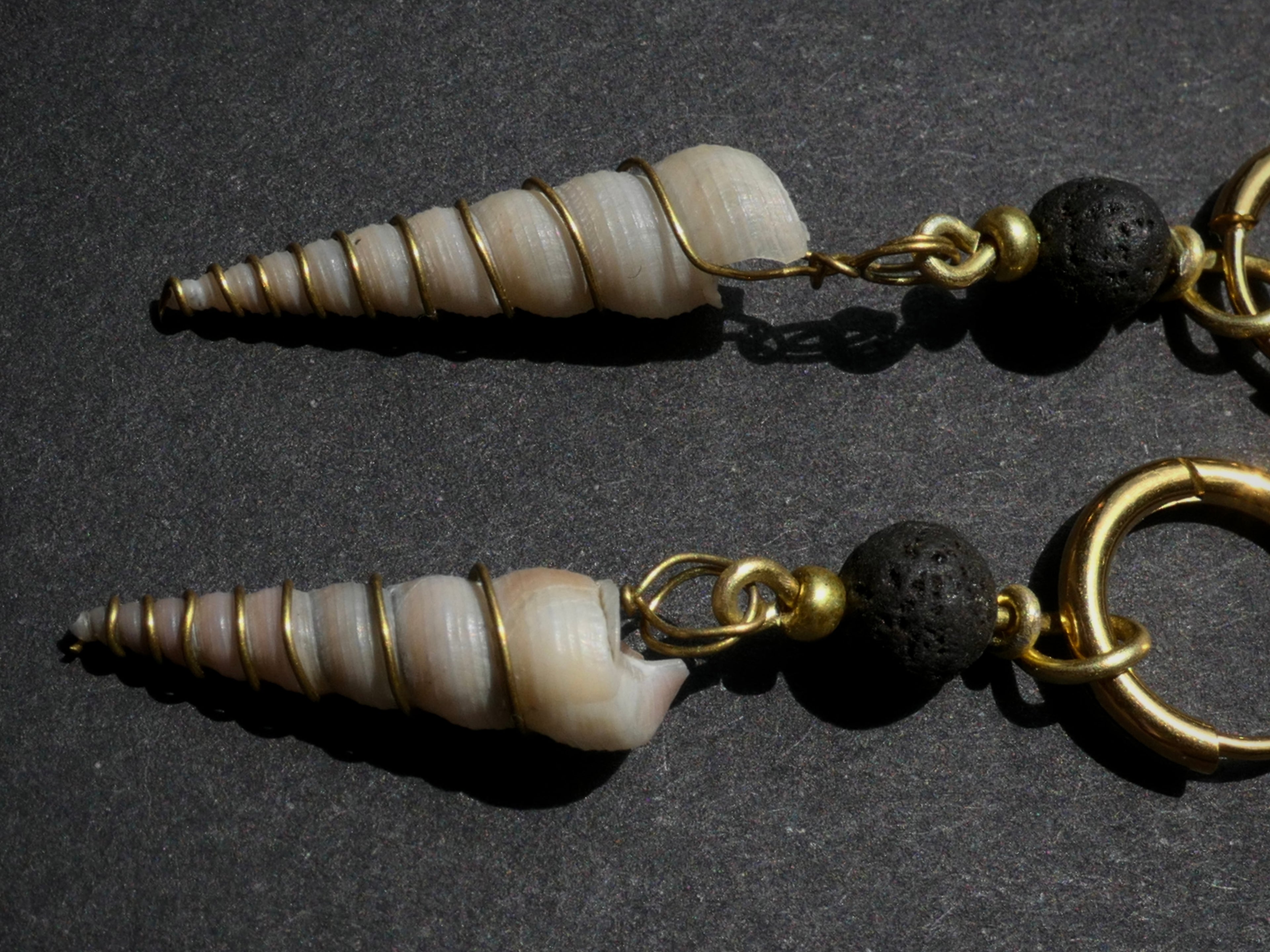 Sólskel Muschelohrring