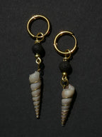 Sólskel Muschelohrring