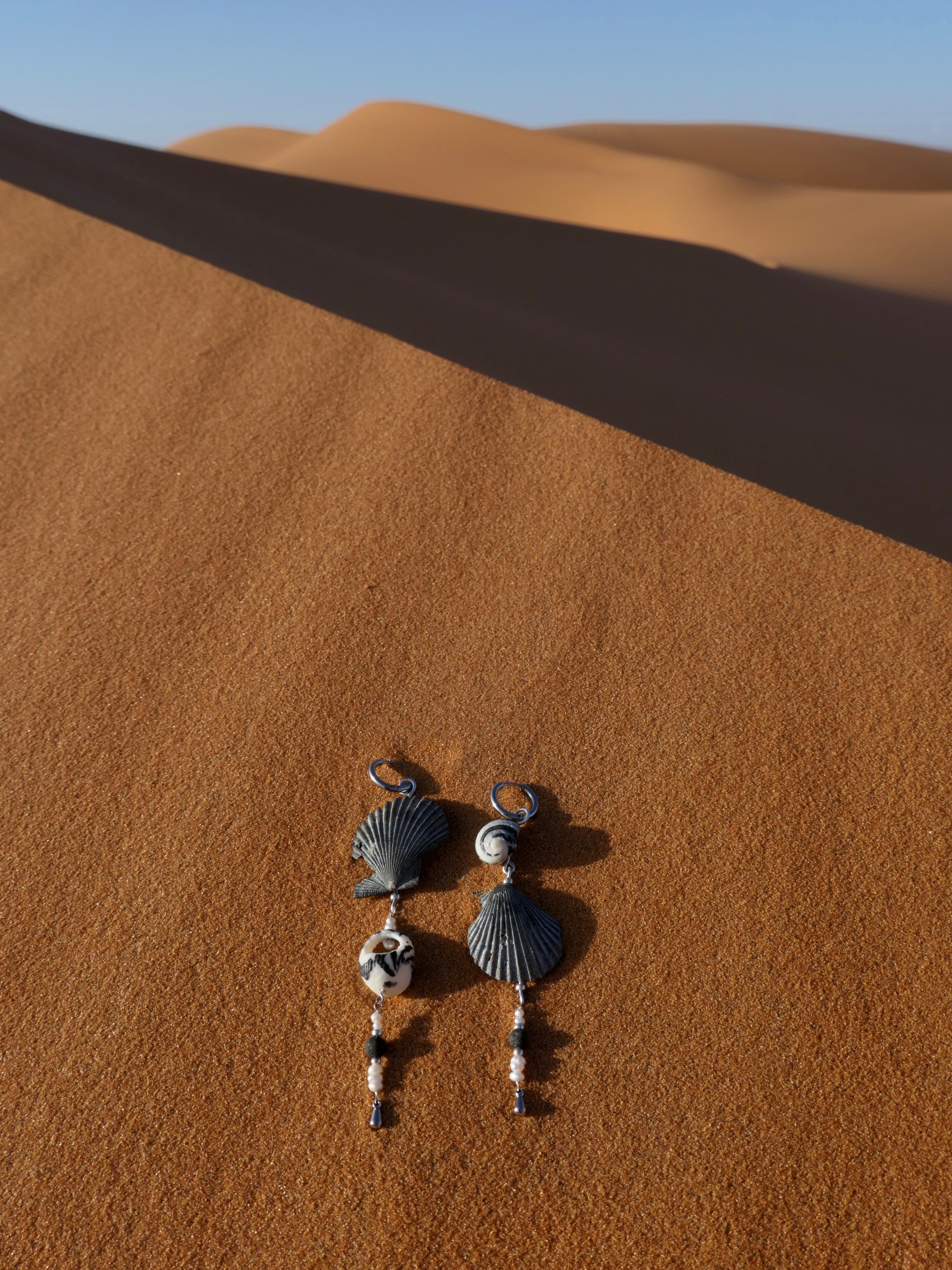 Black Venusmuschel Ohrring