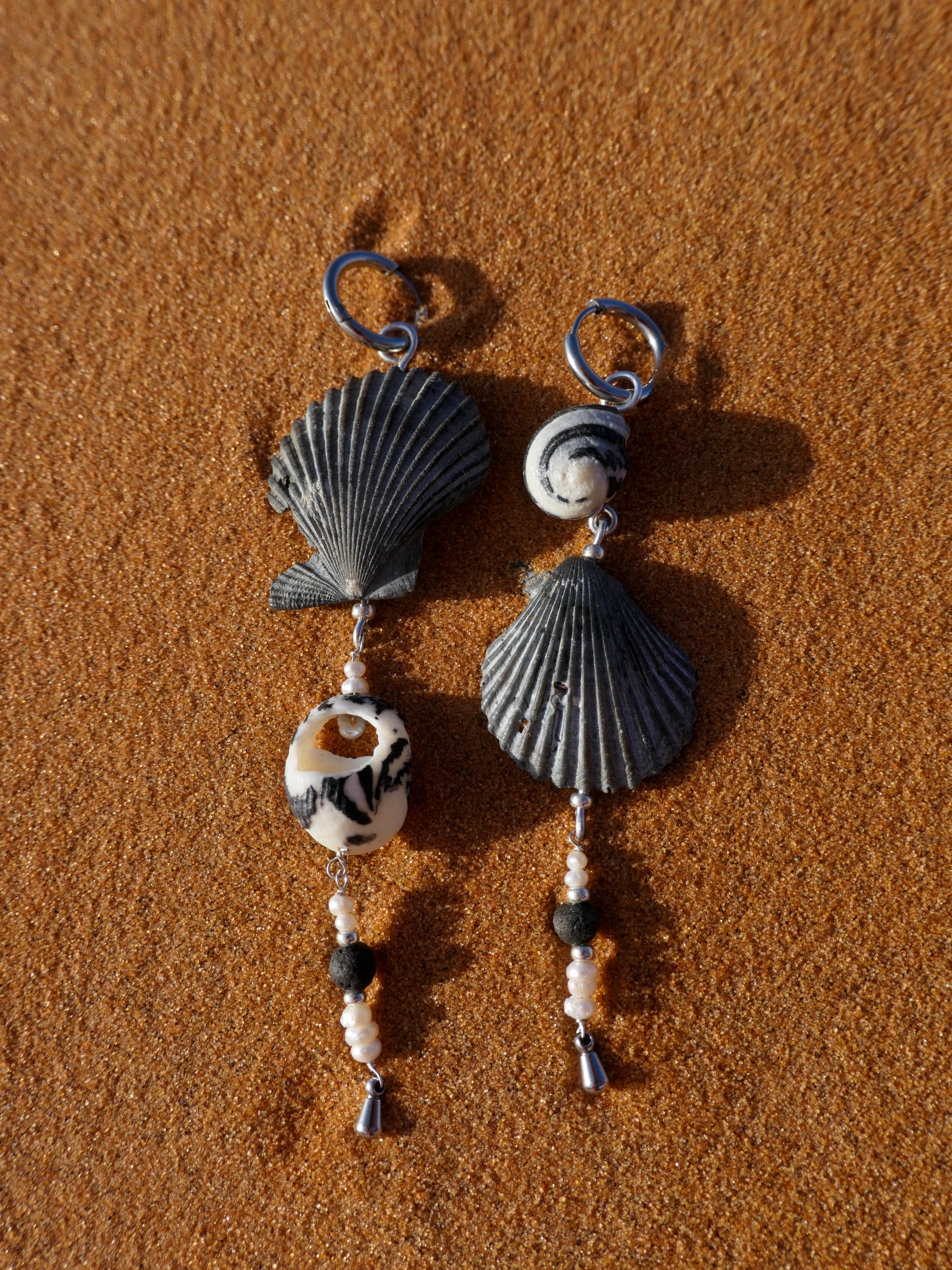 Black Venusmuschel Ohrring